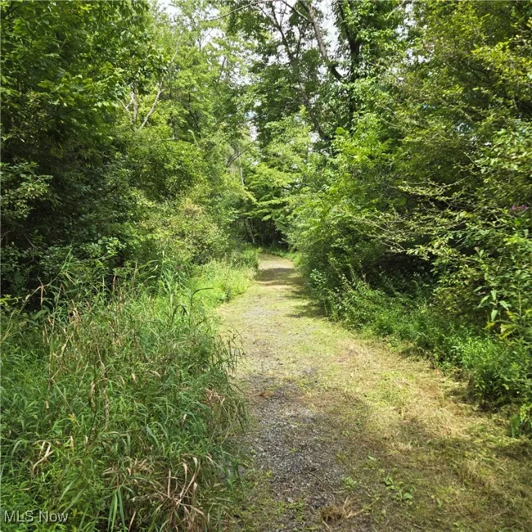7 acres of wooded land. backs up to sunny lake property