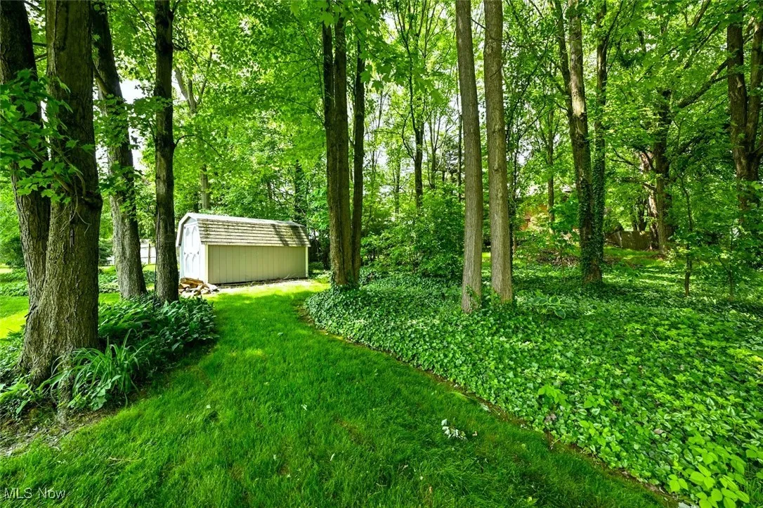 *BACK OF THE PROPERTY TREE LINED ~