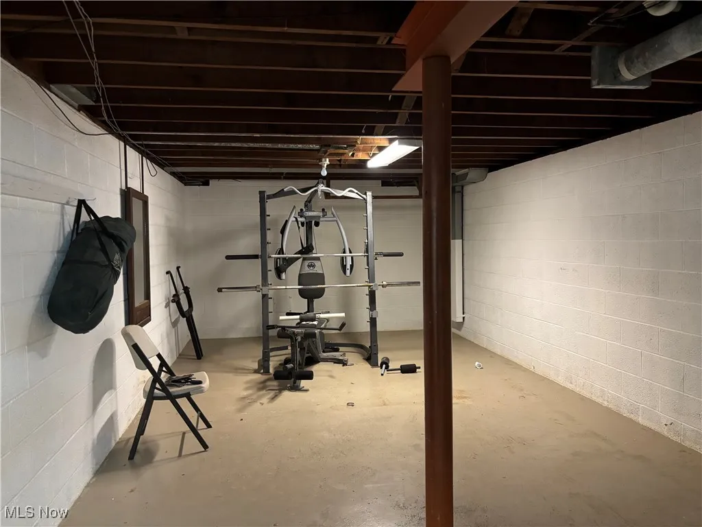 View of unfinished basement
