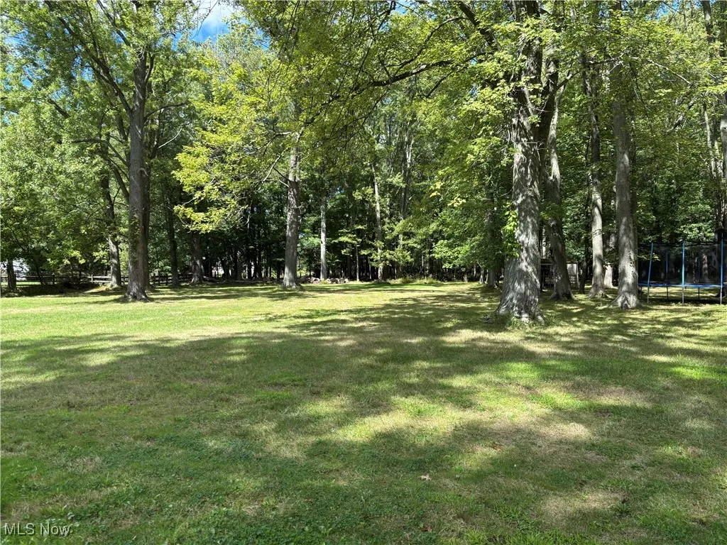 View of green lawn with a trampoline