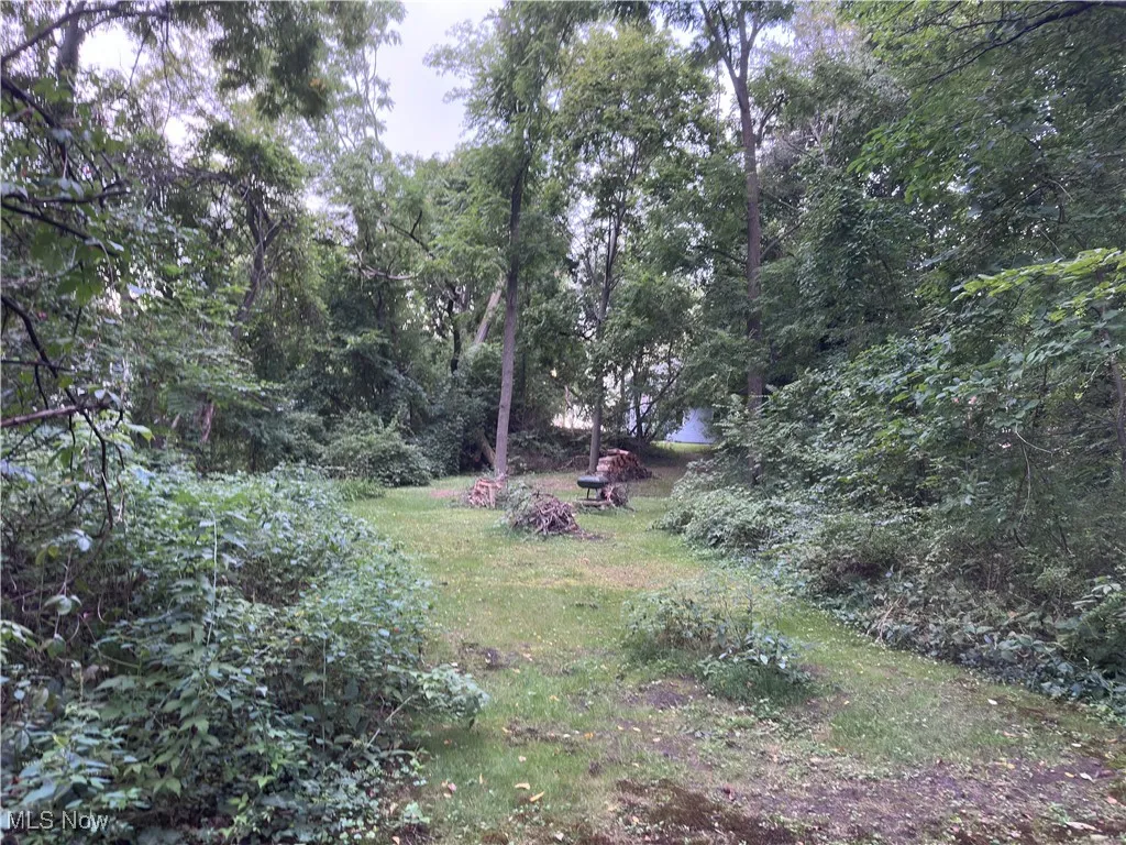 View of green lawn