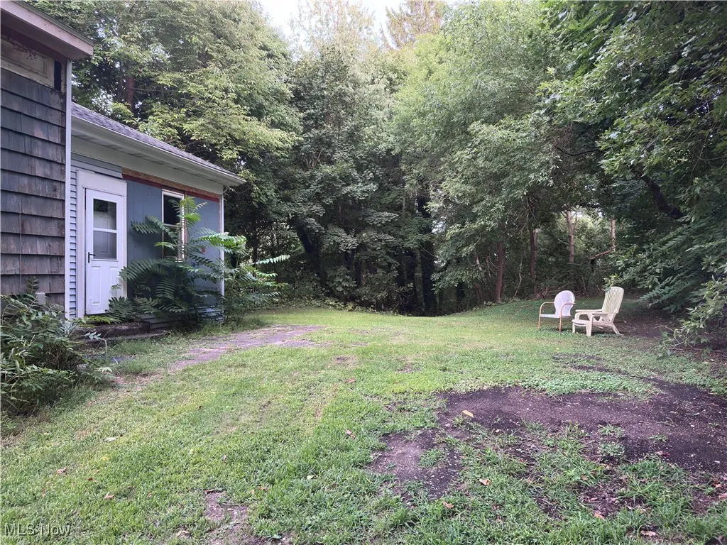 View of grassy yard