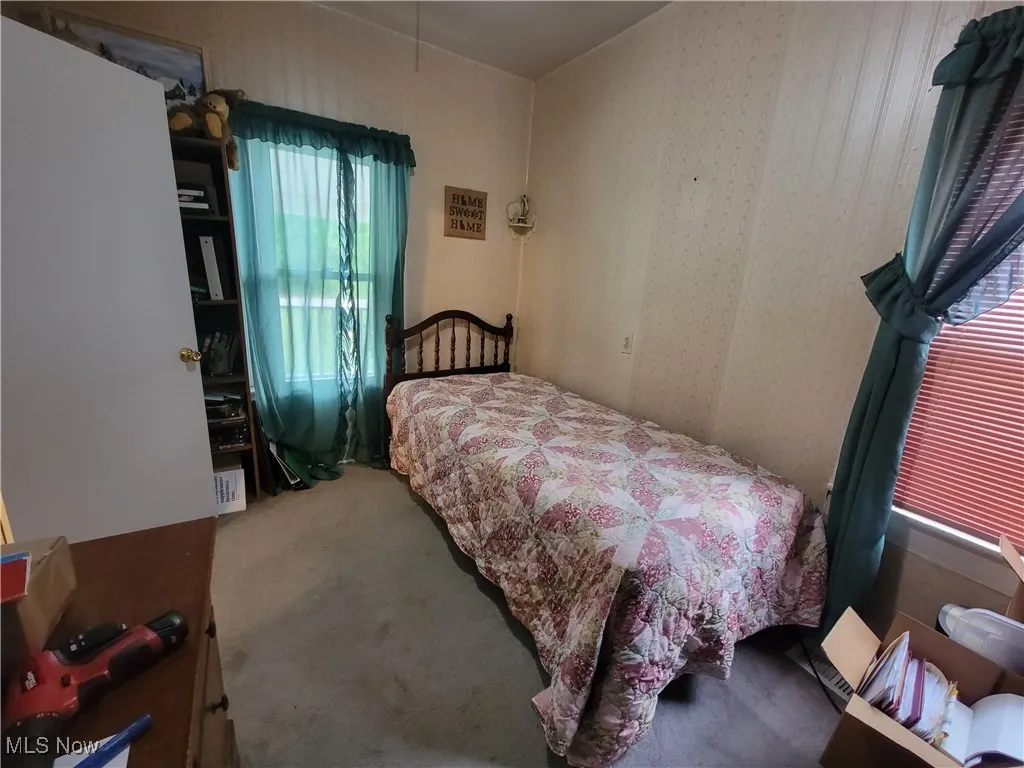 Bedroom featuring carpet floors