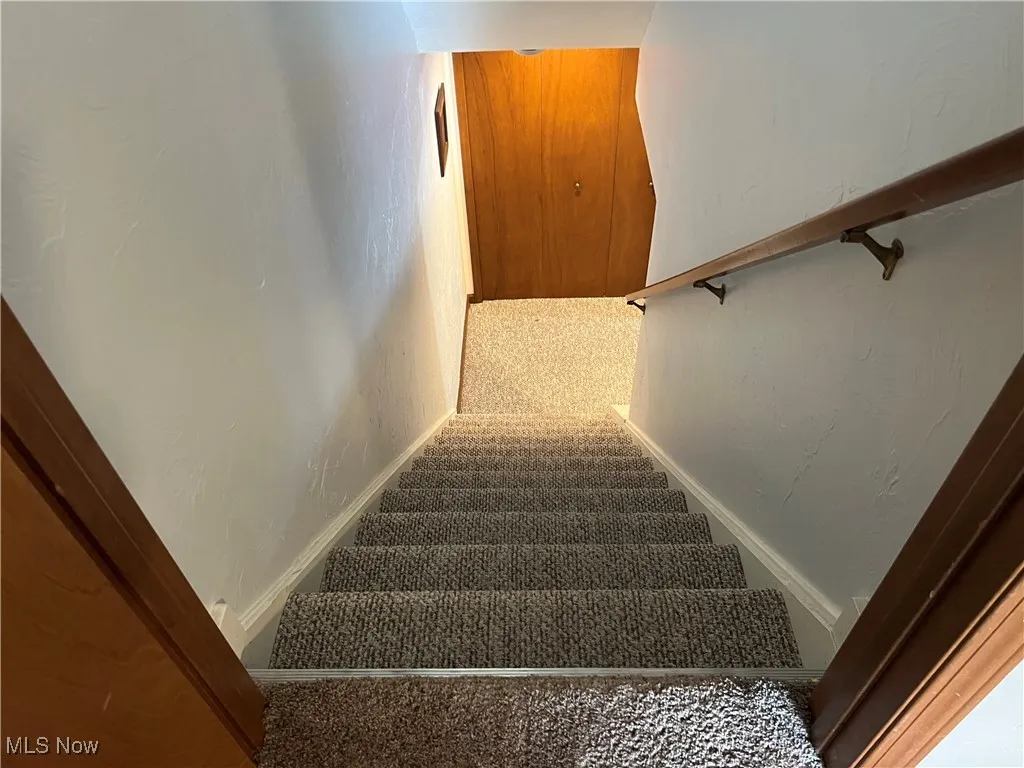 Stairway with carpet leading to Rec Room