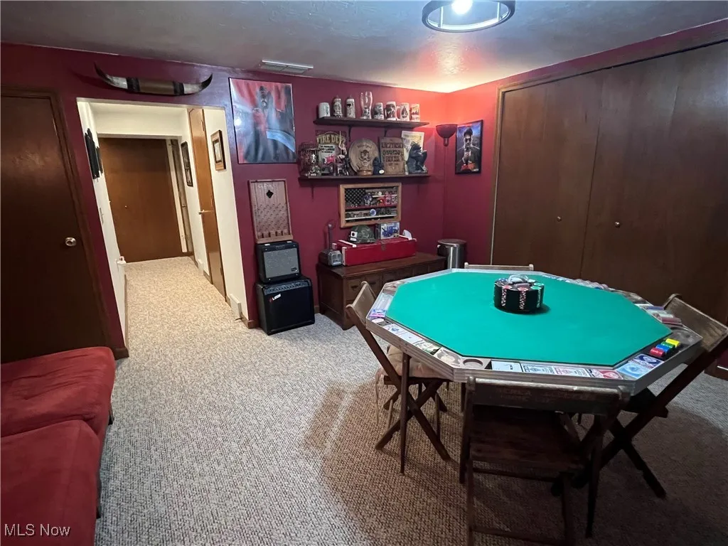 Recreation room featuring carpet flooring, textured ceiling and large storage closet for games, toys, etc.