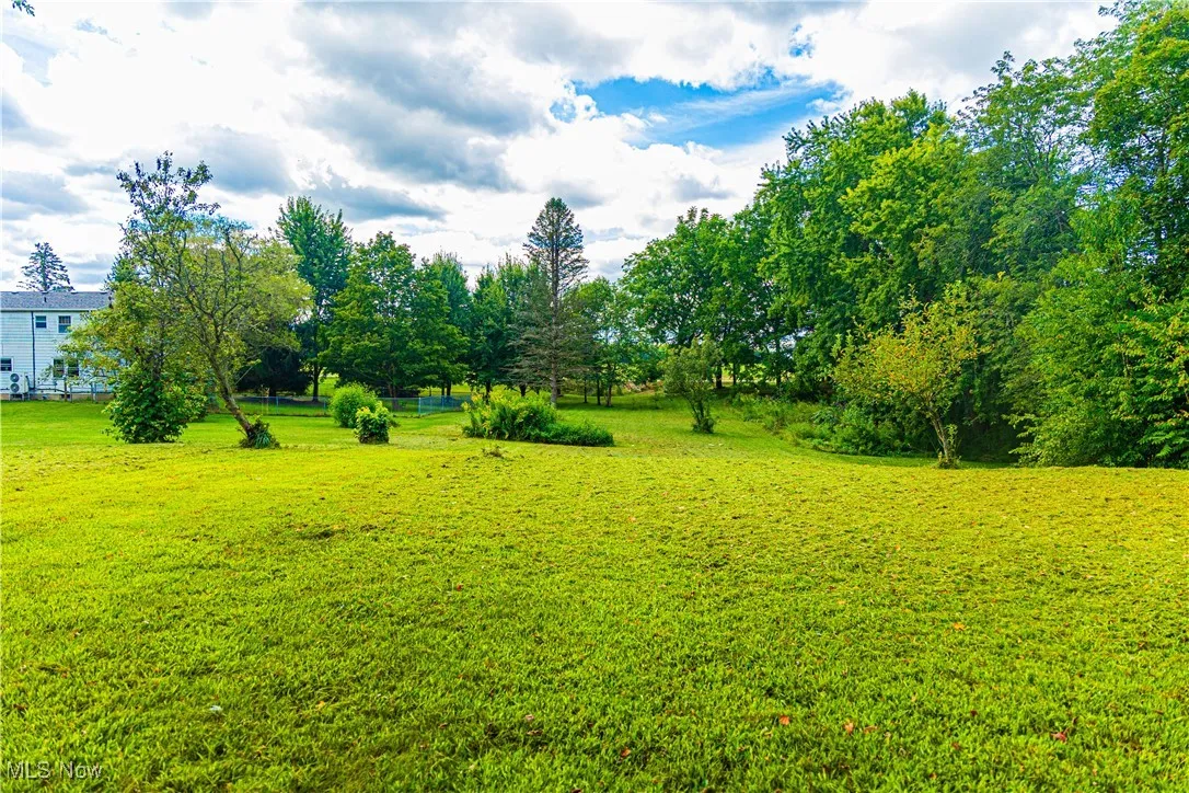 View of green lawn