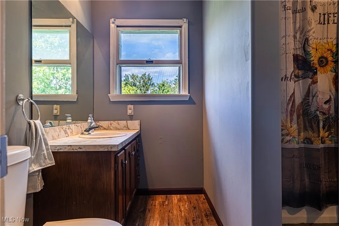 Full bathroom featuring dark wood-type flooring, vanity, and a shower with shower curtain