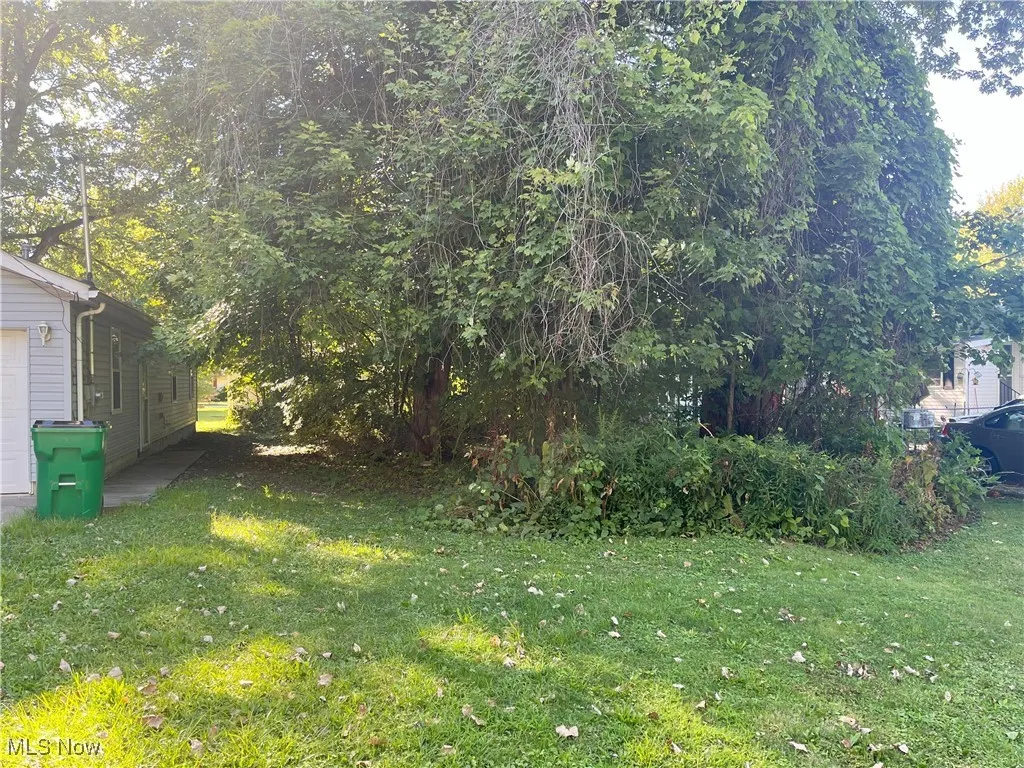 View of green lawn