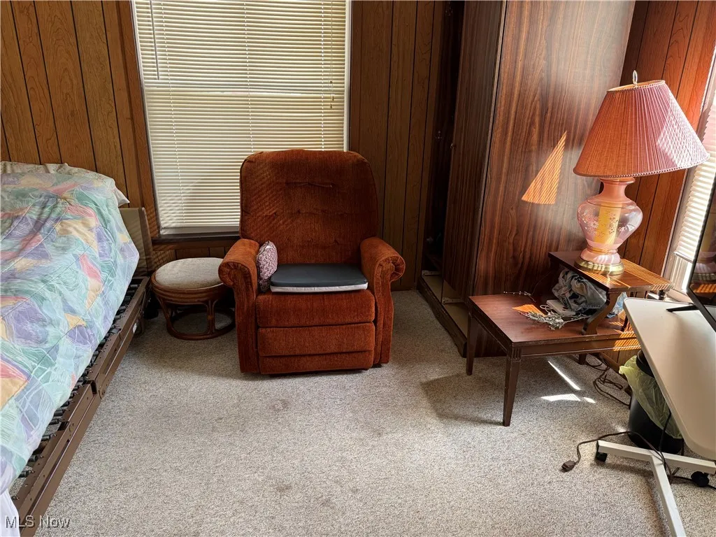 Living area with wooden walls and light carpet