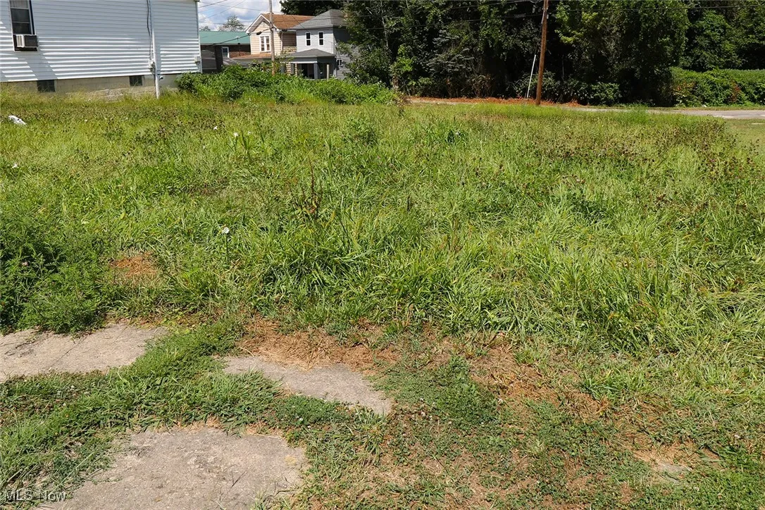 1437 & 1439 Oregon Avenue, Steubenville, Ohio 43952,MLS Now Listing ID