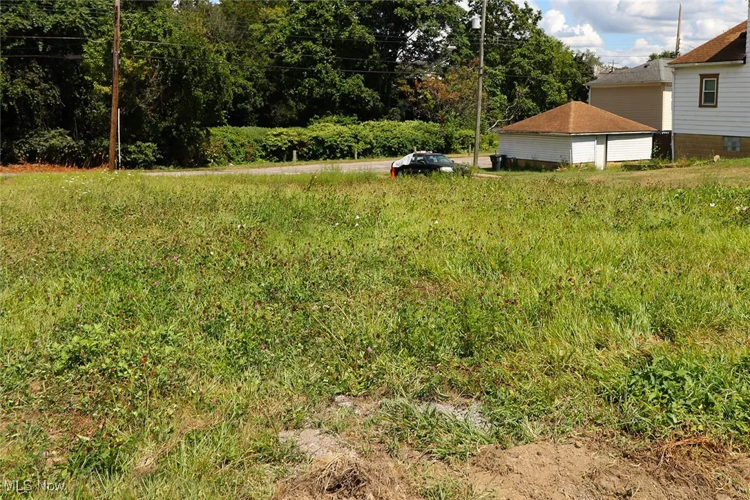 1437 & 1439 Oregon Avenue, Steubenville, Ohio 43952,MLS Now Listing ID