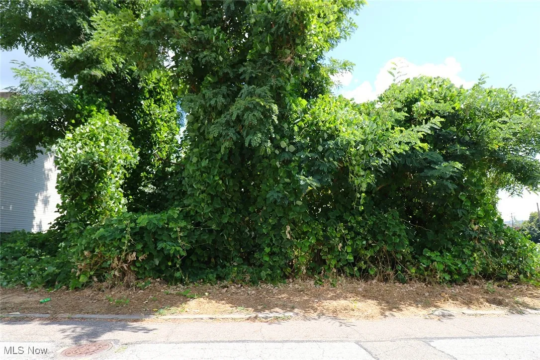 128 Butte Street, Steubenville, Ohio 43952,MLS Now Listing ID