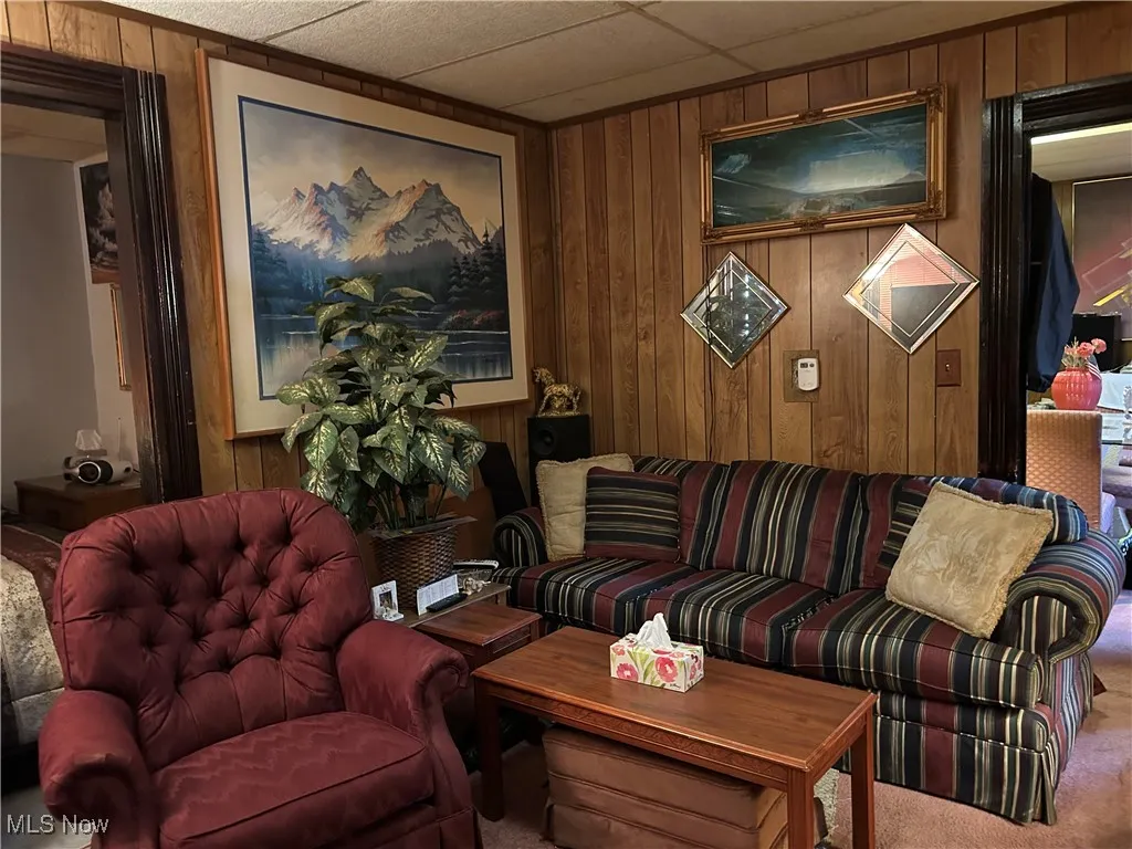 Carpeted living area with wooden walls