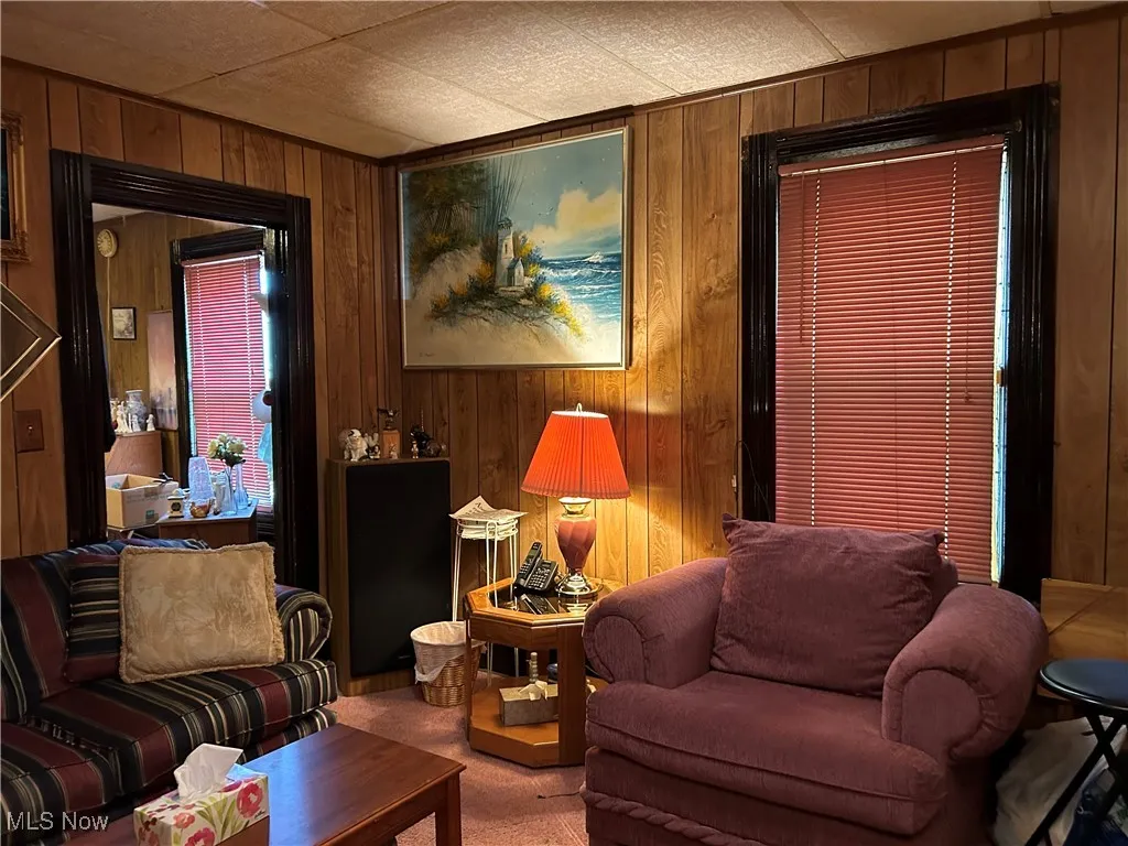 Carpeted living area featuring wooden walls
