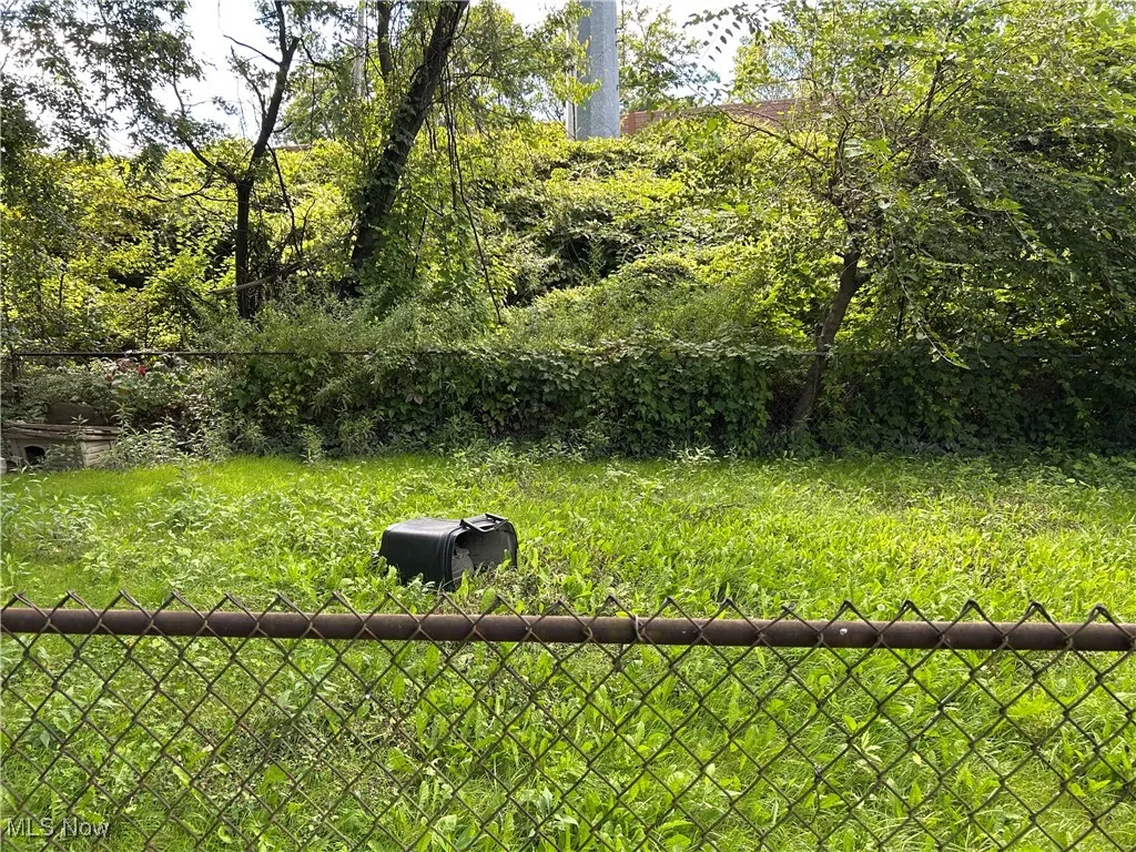 backyard dog run area
