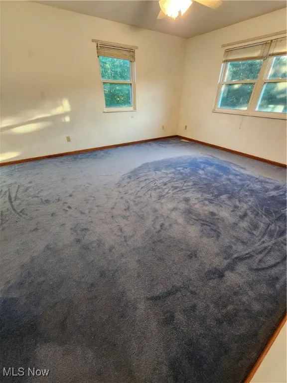 Master bedroom with ceiling fan