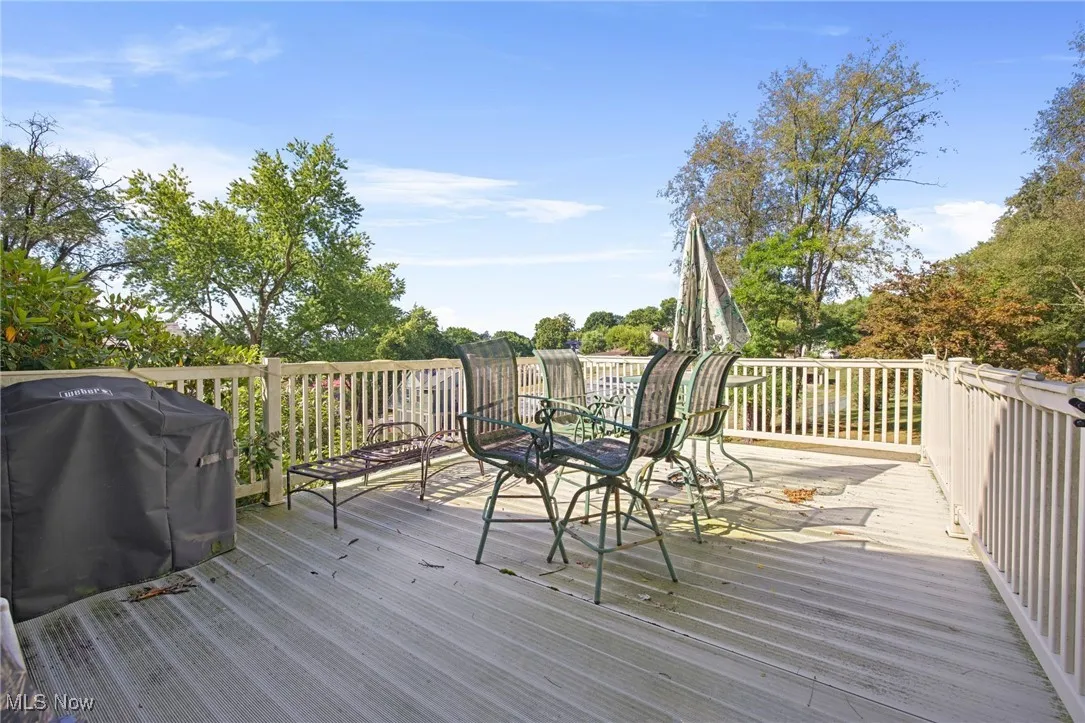 508 N Main Street, Minerva, Ohio 44657,MLS Now Listing ID