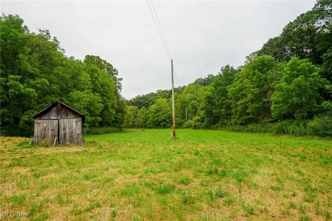 View of grassy yard featuring an outbuilding and a wooded view