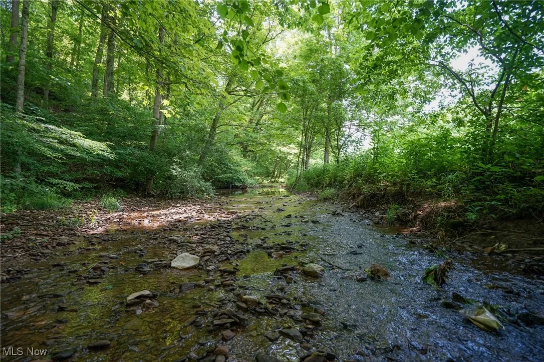 View of woods