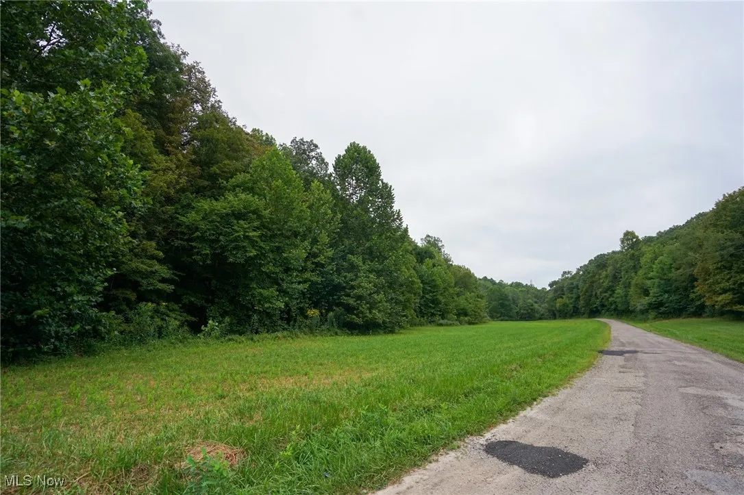 View of road featuring a forest view