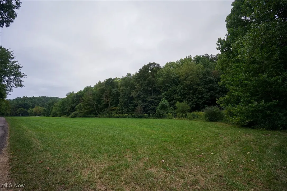 View of wooded area