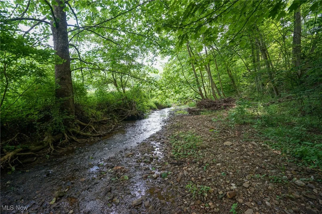 View of road featuring a wooded view and a water view