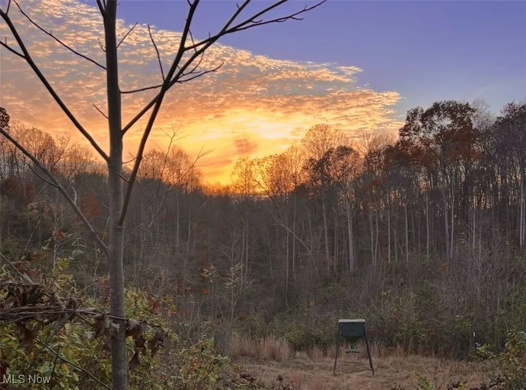 View of undeveloped land