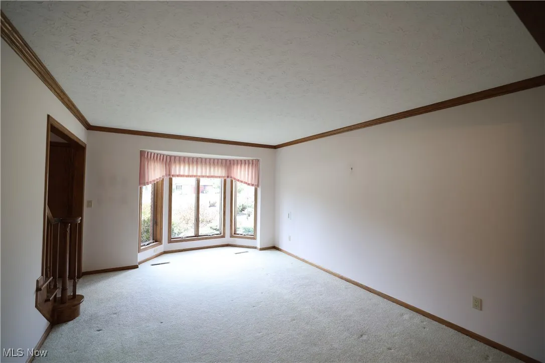 Living room featuring crown molding, a textured ceiling, and carpet flooring