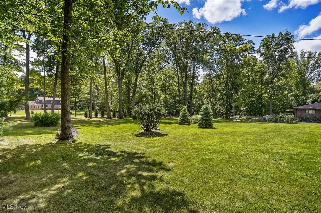 View of green lawn