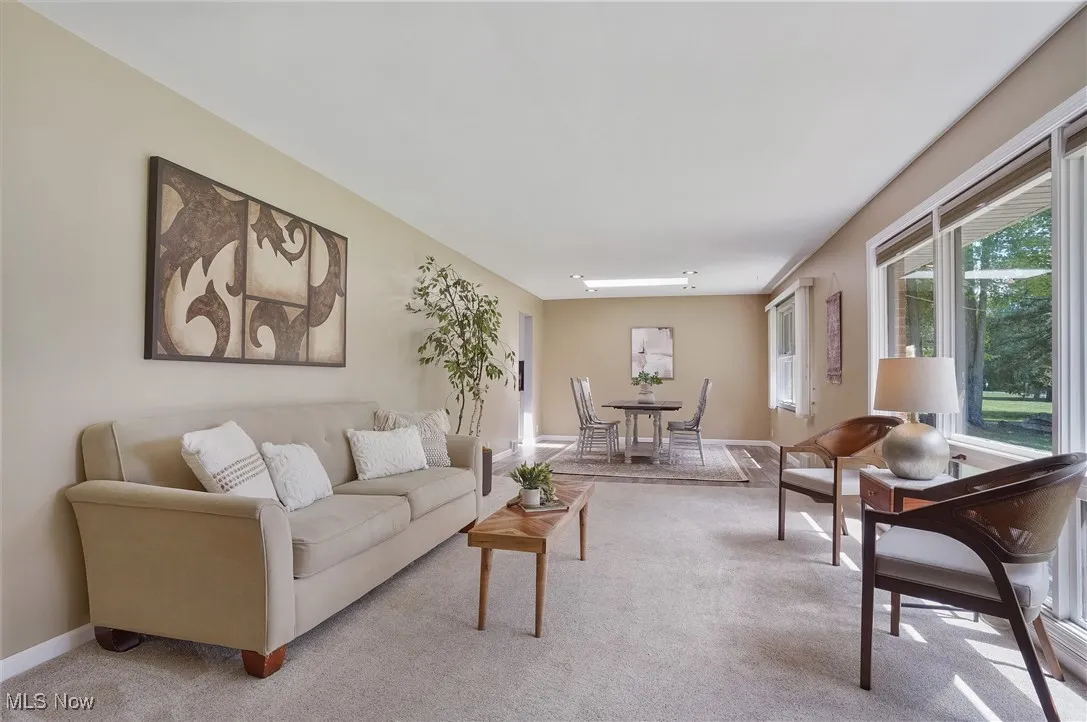 Living room with carpet floors