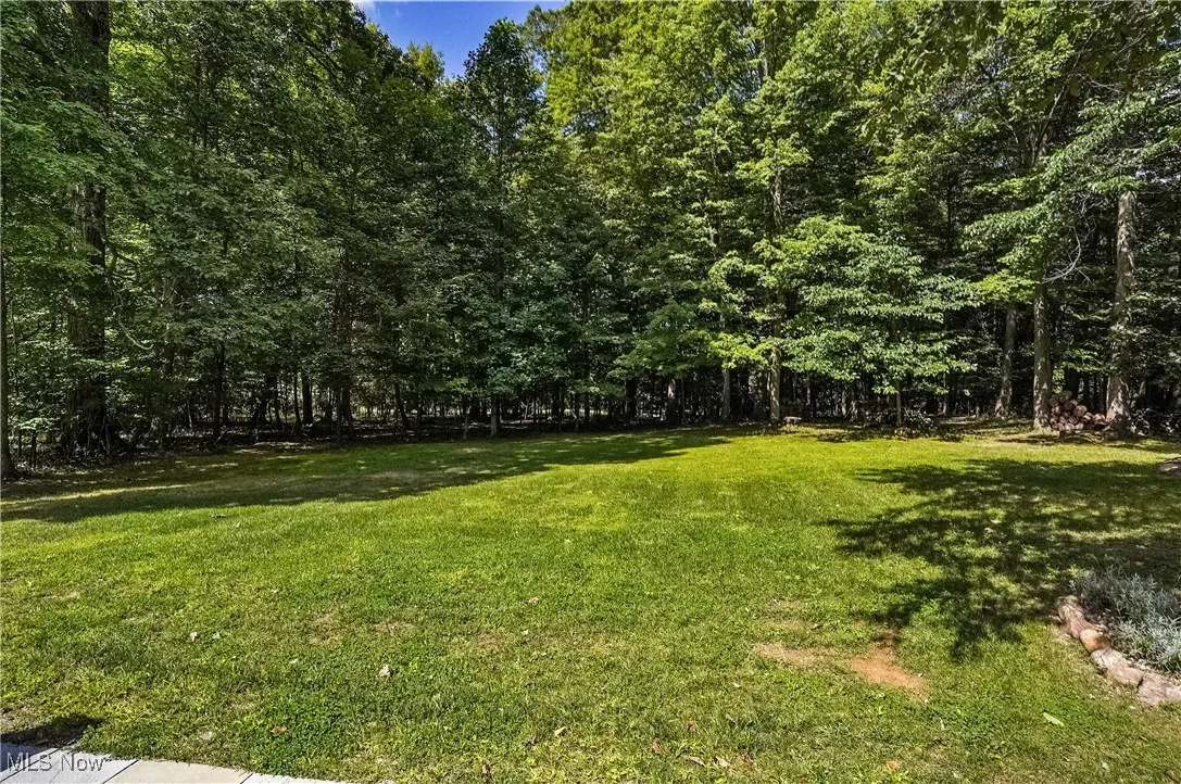 View of green lawn