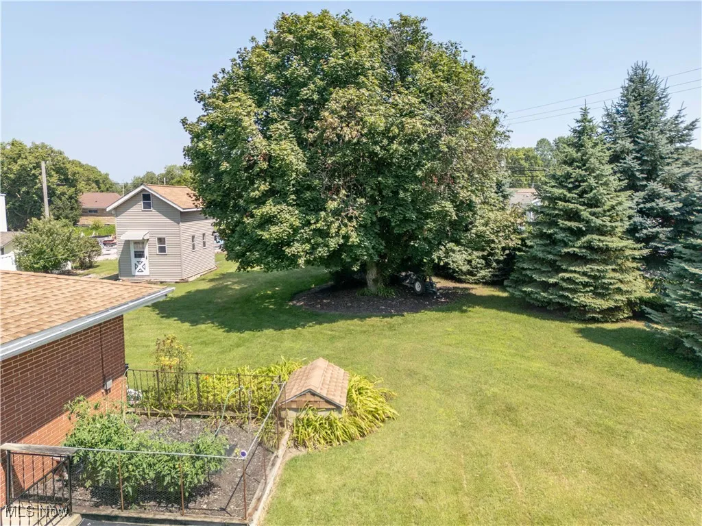 View of green lawn with a vegetable garden