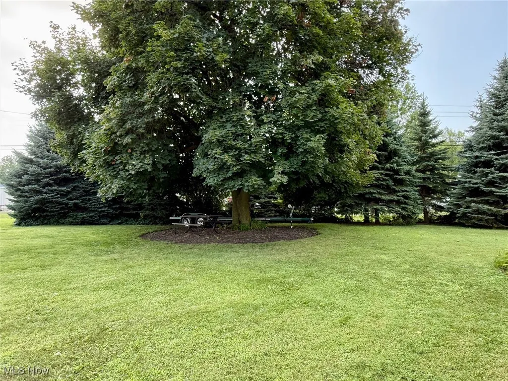 View of grassy yard with view of scattered trees