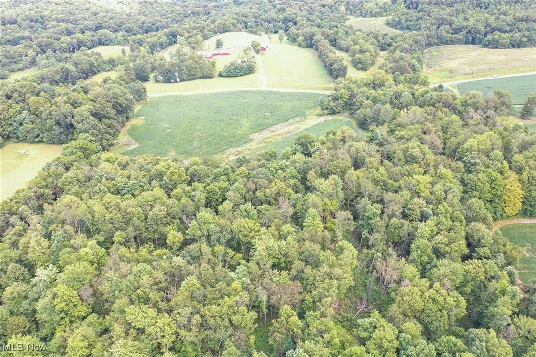 Aerial overview of property's location featuring a heavily wooded area