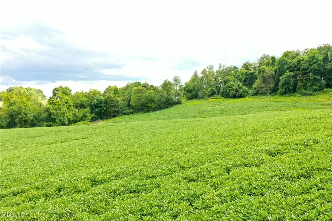View of grassy yard with a view of rural / pastoral area