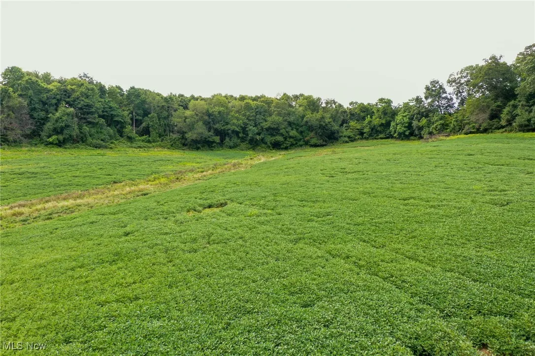 View of green lawn with a rural view