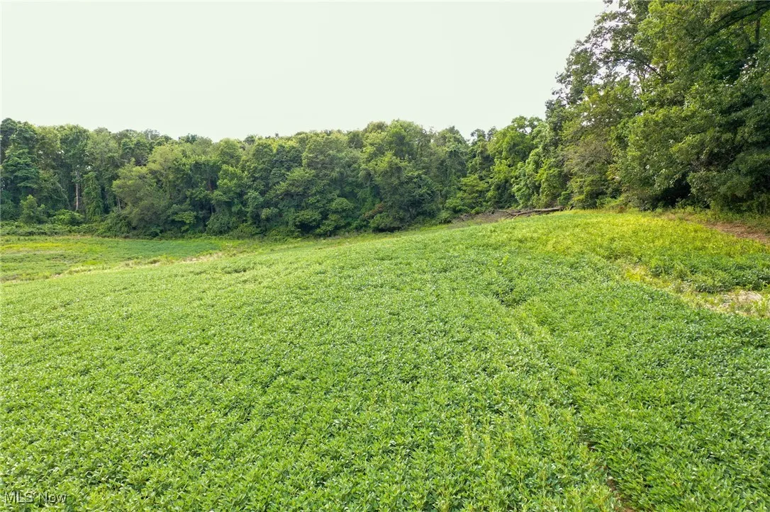 View of wooded area with a rural view