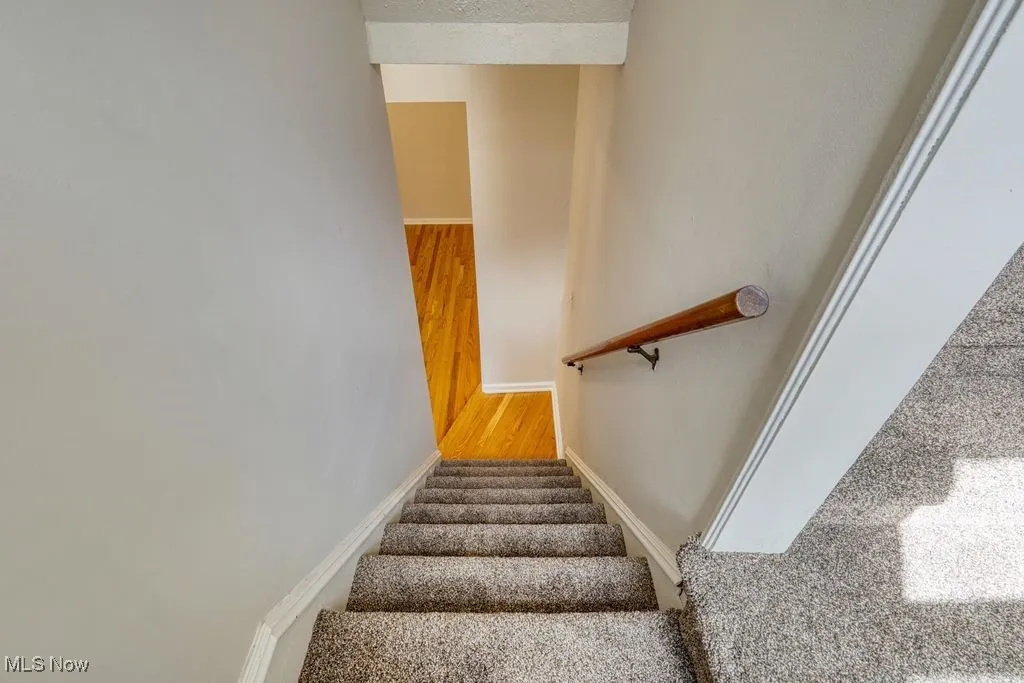 Freshly carpeted.