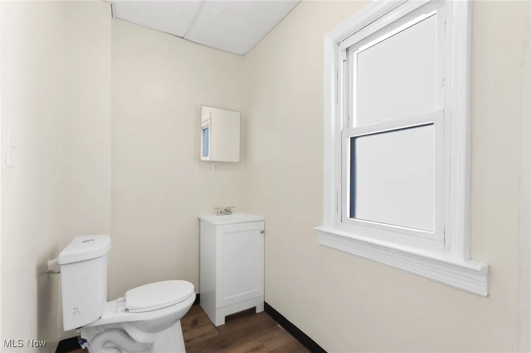 Half bath with vanity, a drop ceiling, and dark wood-type flooring
