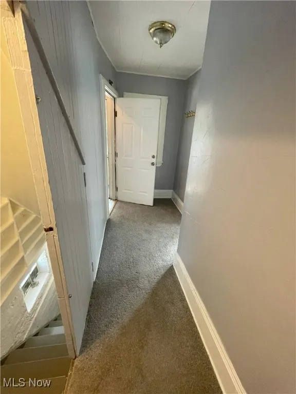 Hall featuring carpet flooring and wooden walls
