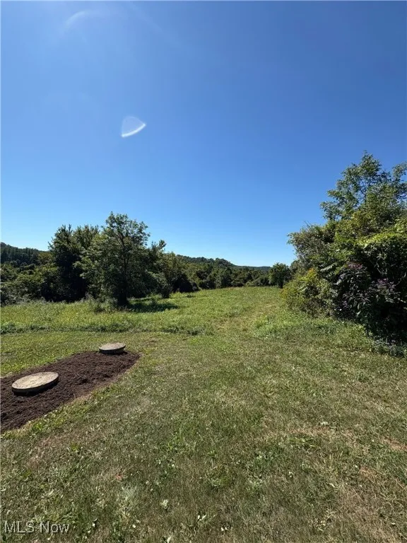 View of grassy yard