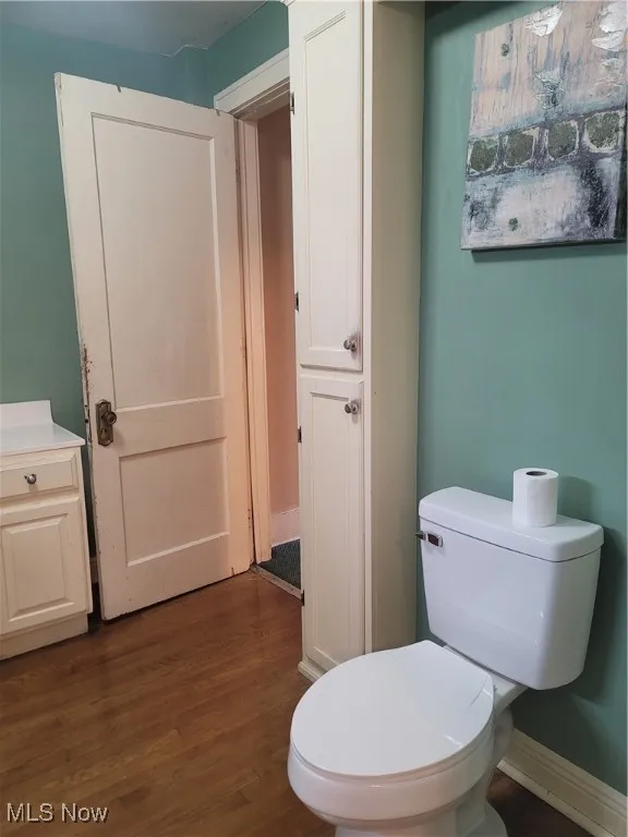 Bathroom with dark wood-type flooring and vanity