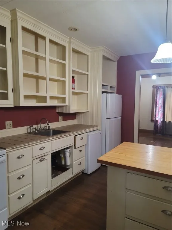 Kitchen with dark wood-type flooring, light countertops, fridge, and dishwashing machine