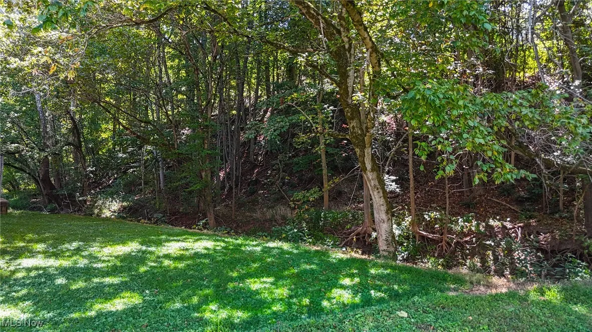 View of green lawn and small creek running behind buildings