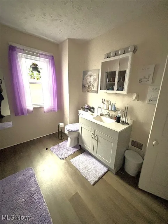 Half bathroom featuring wood finished floors, vanity, and a textured ceiling