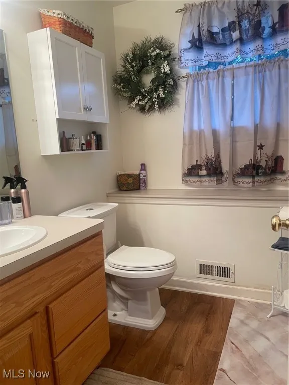 Bathroom with wood finished floors and vanity