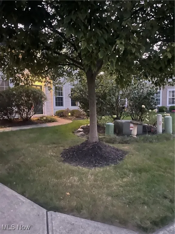 View of grassy yard