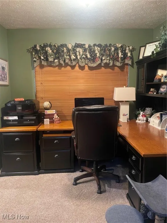 Office with a textured ceiling and carpet