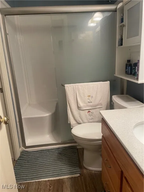 Bathroom with a stall shower, dark wood-type flooring, and vanity