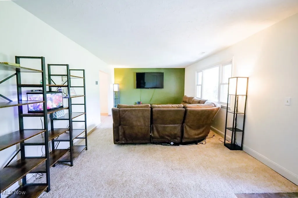 Living room featuring light colored carpet and​​‌​​​​‌​​‌‌​‌‌​​​‌‌​‌​‌​‌​​​‌​​ baseboards